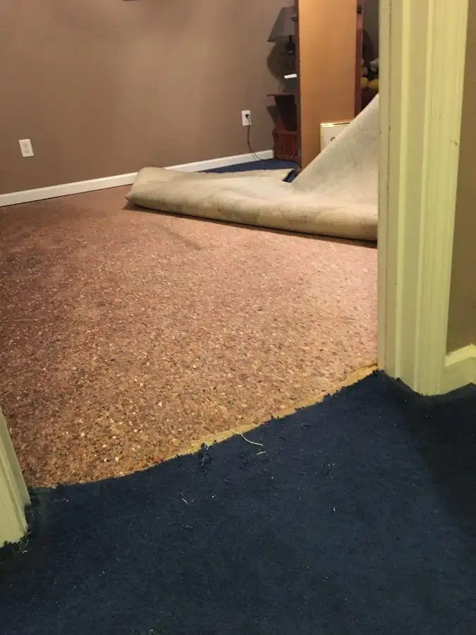 Carpet pad removal revealing water damage during Water Mitigation Services in Linden