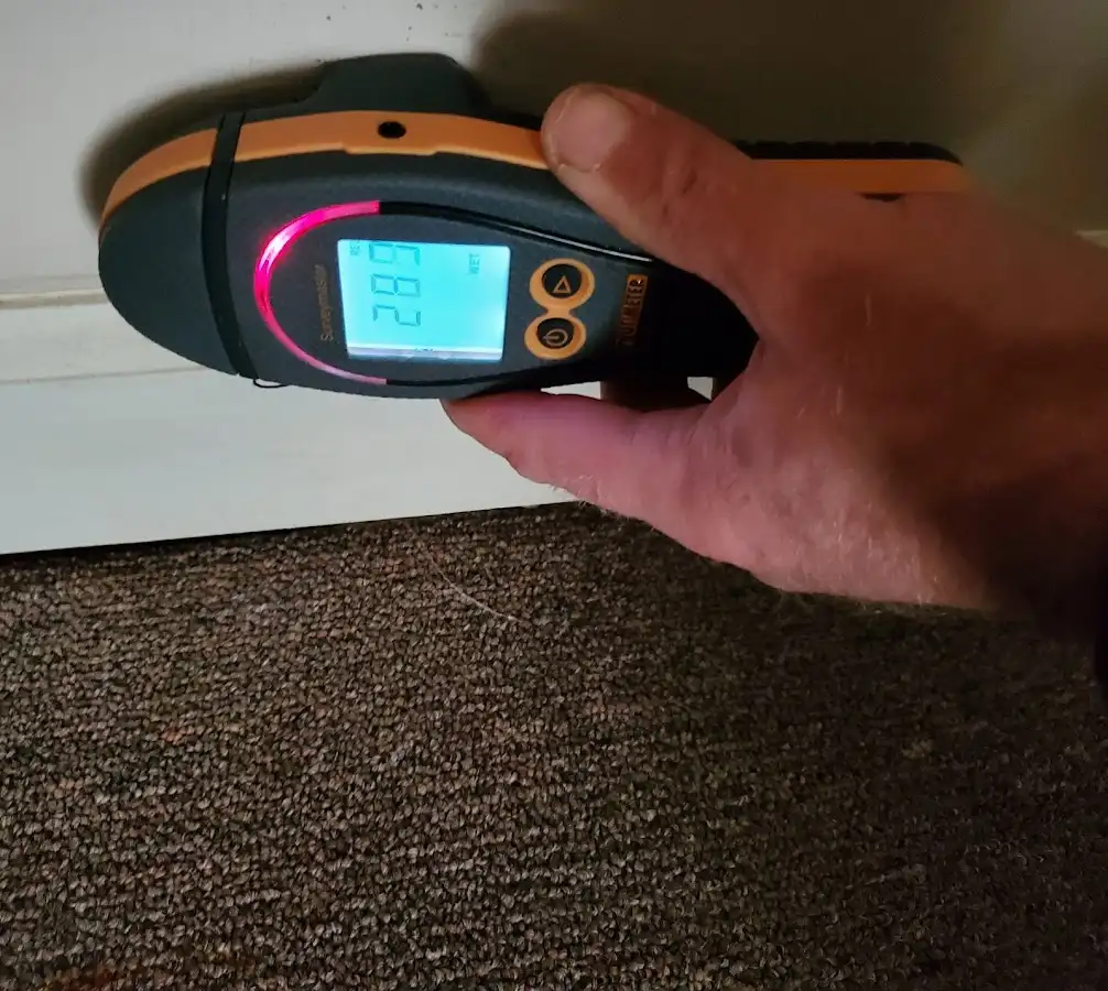 Moisture detection at baseboard during Sewage Cleanup & Sanitation in Linden